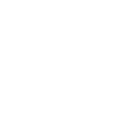 AVM Konsepti