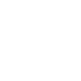 Salon Konsepti